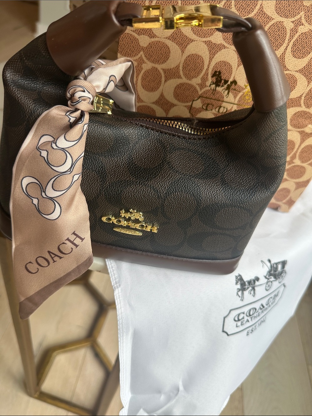 Coach Dark Brown Signature Mini Hobo with Beige Scarf - Picture 2 of 9